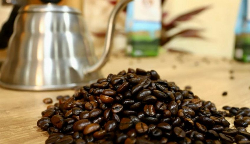 Sebrae-RN impulsiona cafeicultura potiguar com jornada digital para produtores | ASN Rio Grande do Norte