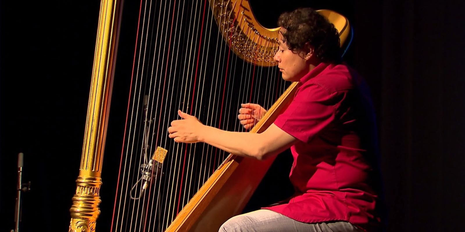 Rio: maior festival de harpas do mundo chega à 19ª edição com 2 etapas