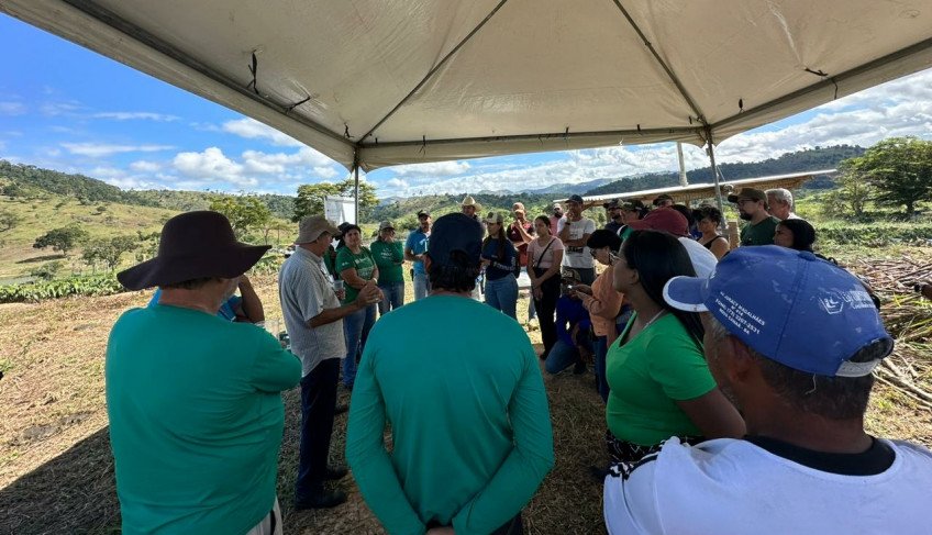 Nova Canãa recebe dia de campo sobre nutrição animal | ASN Bahia
