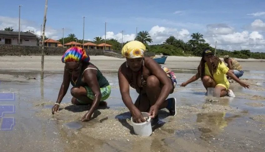 Sebrae realiza Circuito Maré Empreendedora para pescadores e marisqueiras no sul do Estado | ASN Bahia